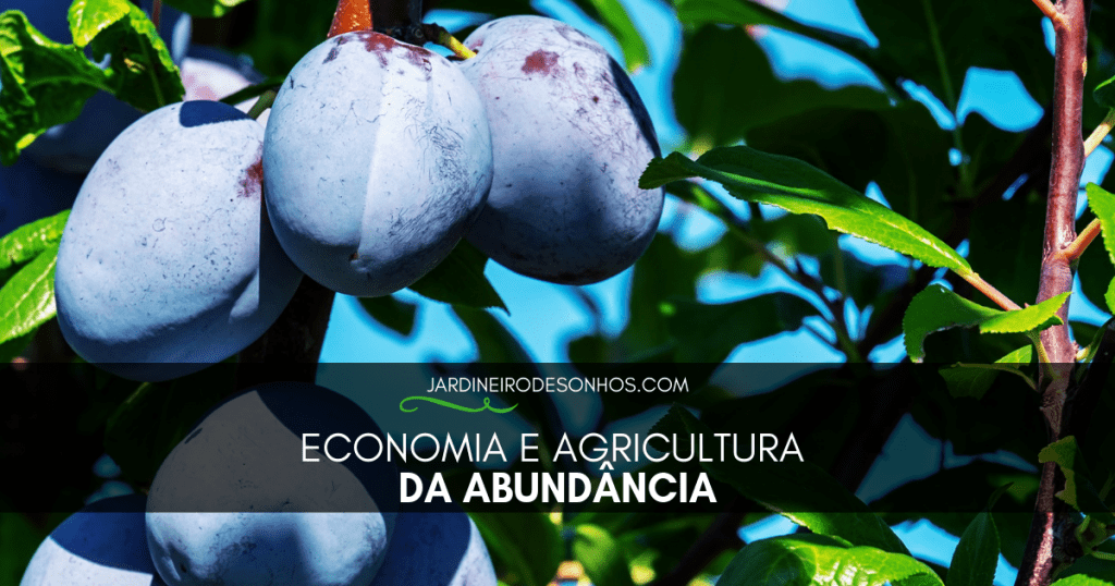 Economia e AgriEconomia e Agricultura da Abundânciacultura da Abundância